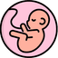 Obstetricia